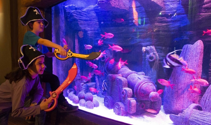 carnevale sea life