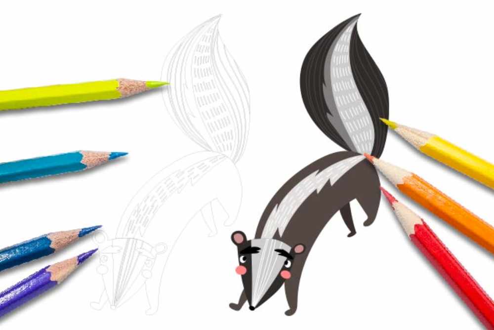 Disegni per bambini da colorare animali puzzola