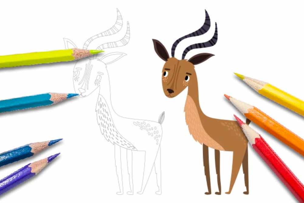 Disegni per bambini da colorare animali antilope