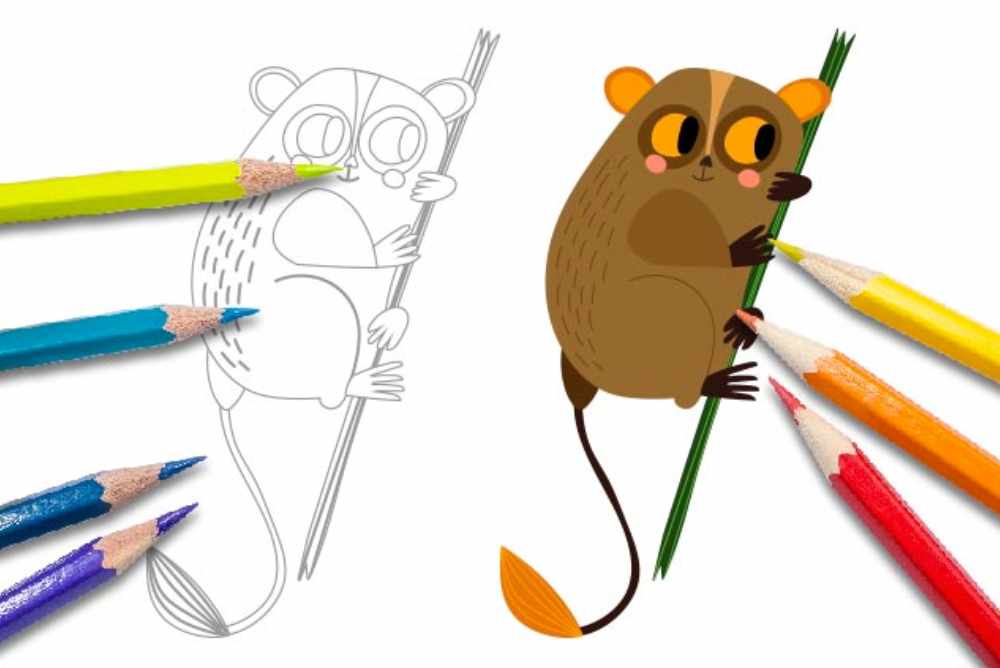 Disegni per bambini da colorare animali opossum