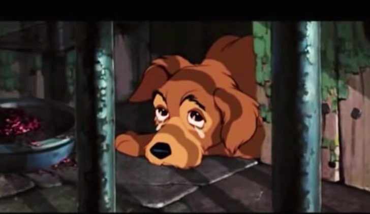 Cartoni Disney tristi Lilli e il Vagabondo