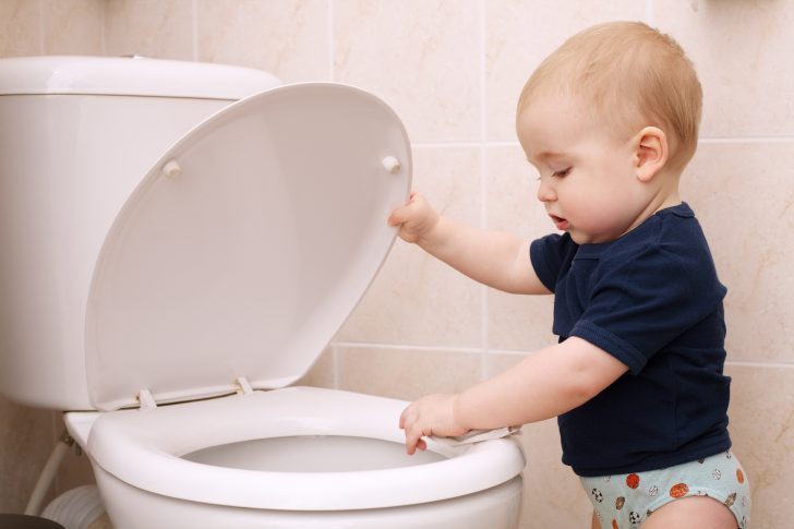 tavolette wc