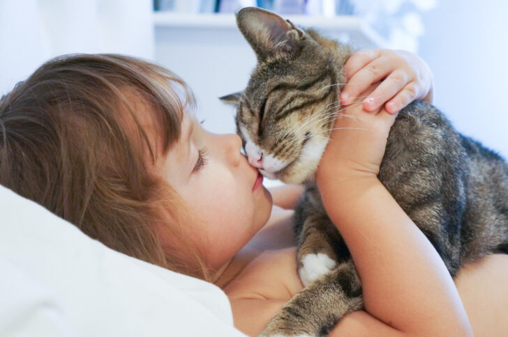 casa pulita con animali