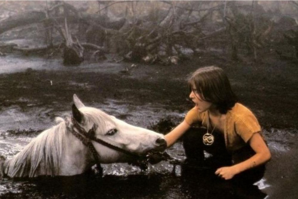 storia infinita cavallo