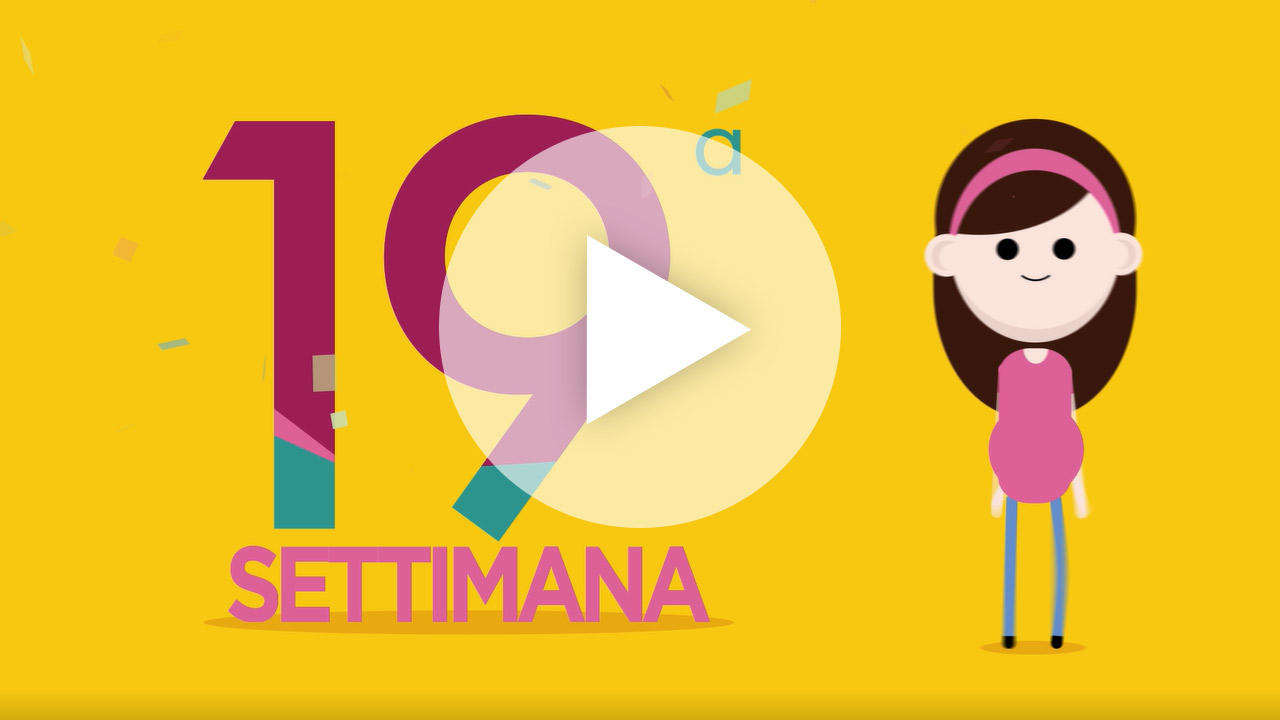 settimana 19