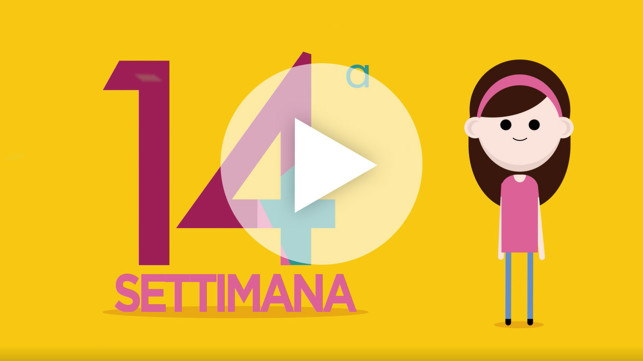 settimana 14