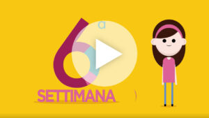settimana 6