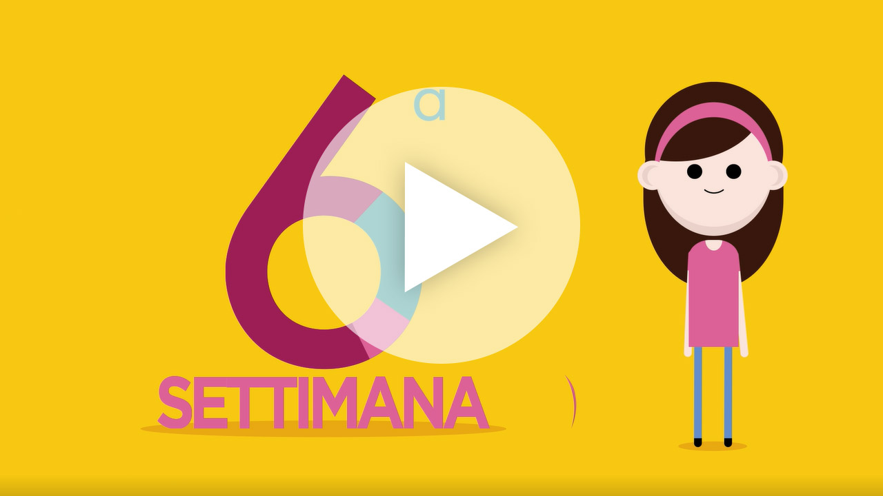 settimana 6