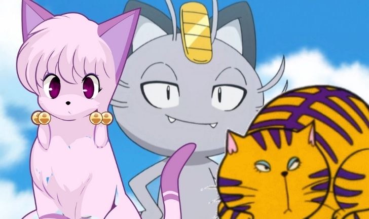 cartoni gatto