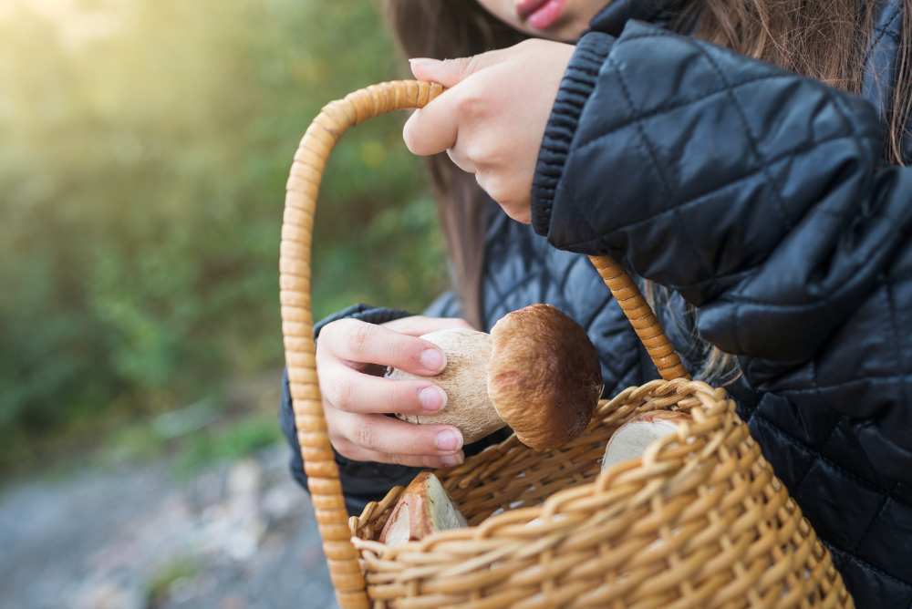 funghi ai bambini