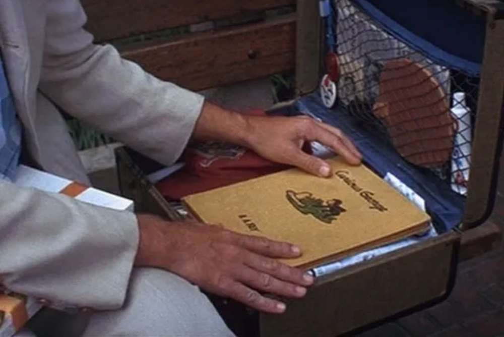 curioso come george forrest gump