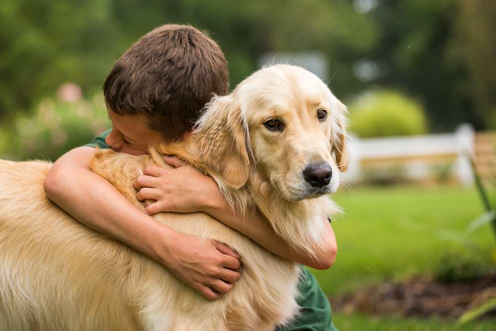 cane è morto