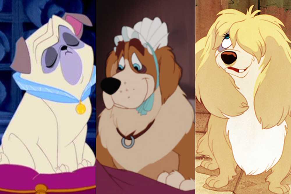 disney cani quiz