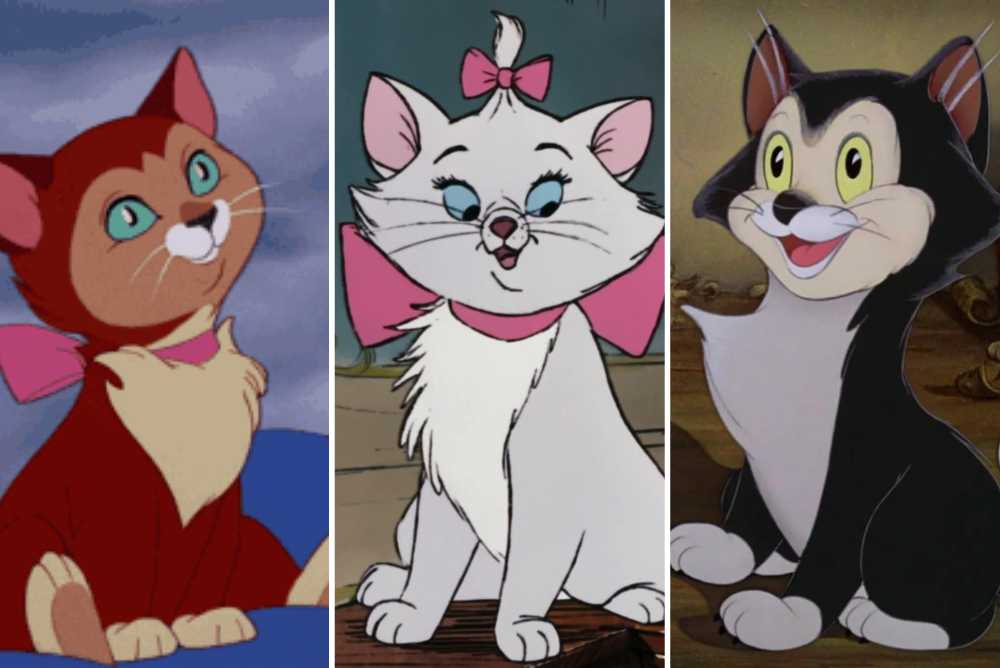 disney gatti quiz